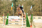 20180323---Springpferde-L-231.jpg