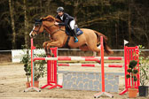 20180323---Springpferde-L-241.jpg