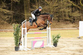 20180323---Springpferde-L-254.jpg