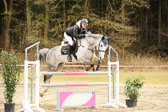 20180323---Springpferde-L-259.jpg