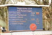 20180323---Springpferde-L-270.jpg