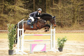 20180323---Springpferde-L-271.jpg