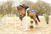 20180323---Springpferde-L-279.jpg