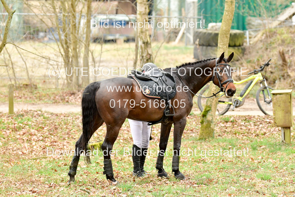  | Booin, Marten - Gravin von Cantus _33 