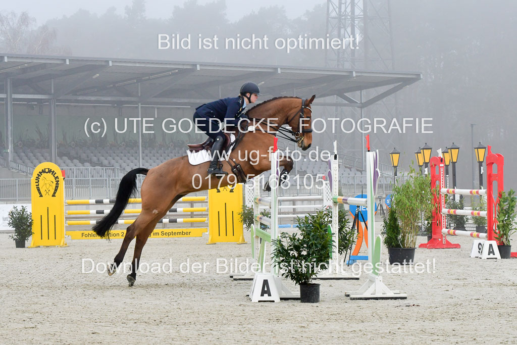  | Lübbecke, Libussa 220322_05 