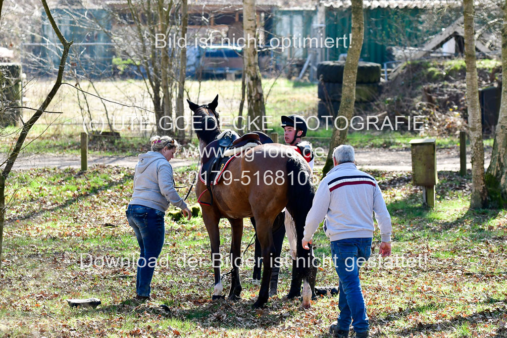  | Siegle, Lars  270322_13 