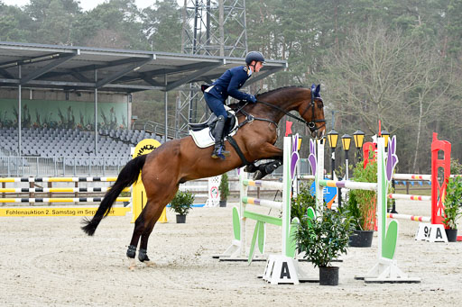  | Schäfer Gerau , Brandon 270322_07 