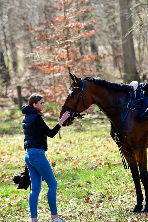  | Schäfer Gerau , Brandon 270322_39 