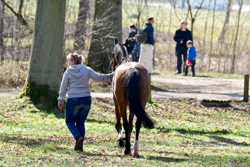  | Siegle, Lars  270322_15 