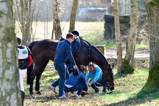  | Warner, Julia 270322_07 