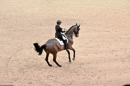  | Bredow-Werndl, Jessica von - TSF Dalera - Trak_18 