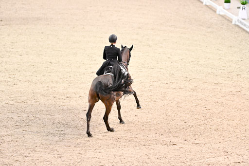  | Bredow-Werndl, Jessica von - TSF Dalera - Trak_21 