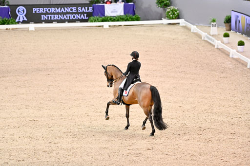  | Dufour, Cathrine - Vamos Amigos - WESTF_01 