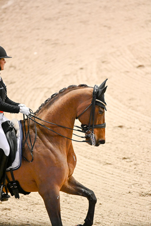  | Dufour, Cathrine - Vamos Amigos - WESTF_02 