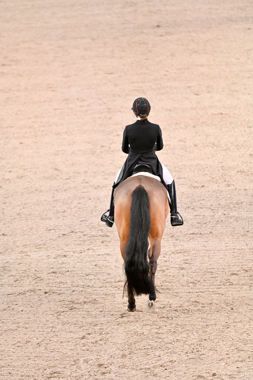  | Dufour, Cathrine - Vamos Amigos - WESTF_04 