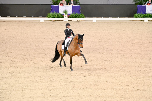  | Dufour, Cathrine - Vamos Amigos - WESTF_08 