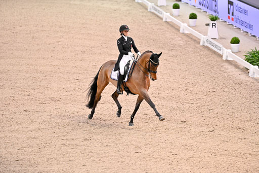  | Dufour, Cathrine - Vamos Amigos - WESTF_11 