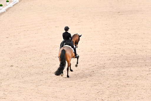  | Dufour, Cathrine - Vamos Amigos - WESTF_13 