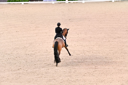  | Dufour, Cathrine - Vamos Amigos - WESTF_14 