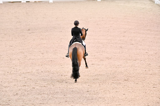  | Dufour, Cathrine - Vamos Amigos - WESTF_15 