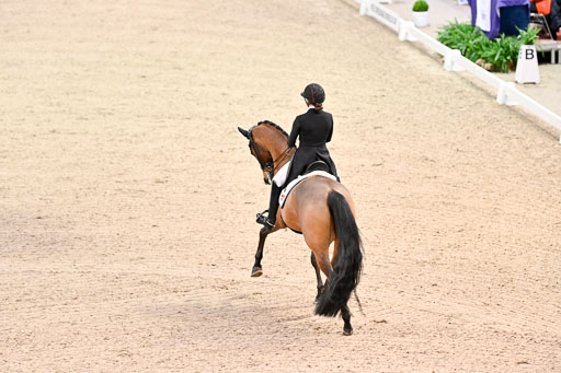  | Dufour, Cathrine - Vamos Amigos - WESTF_18 