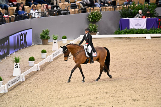  | Dufour, Cathrine - Vamos Amigos - WESTF_19 