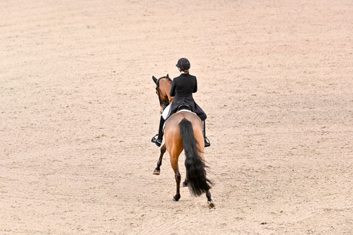  | Dufour, Cathrine - Vamos Amigos - WESTF_20 