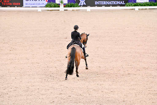  | Dufour, Cathrine - Vamos Amigos - WESTF_22 