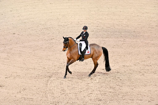  | Dufour, Cathrine - Vamos Amigos - WESTF_24 