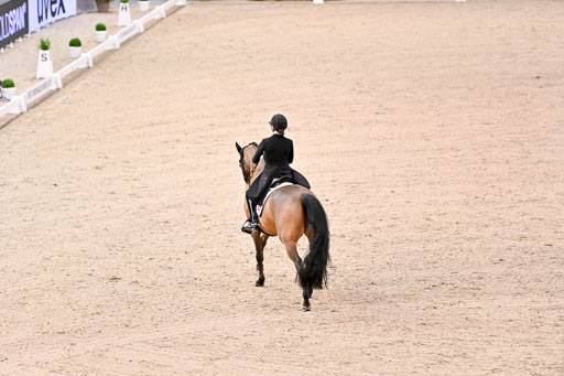  | Dufour, Cathrine - Vamos Amigos - WESTF_26 