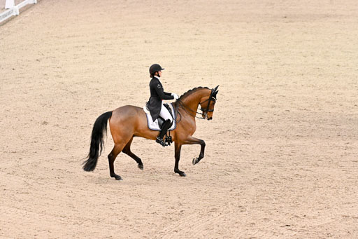  | Dufour, Cathrine - Vamos Amigos - WESTF_28 