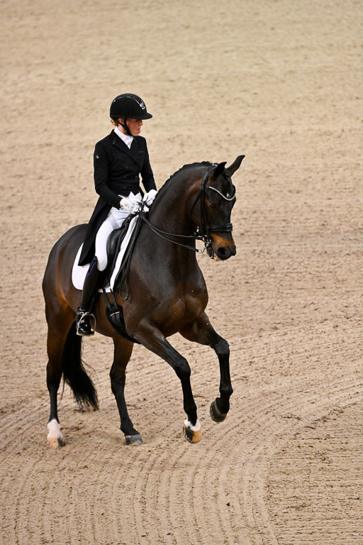  | Heering , Charlotte - Bufranco - KWPN_01 