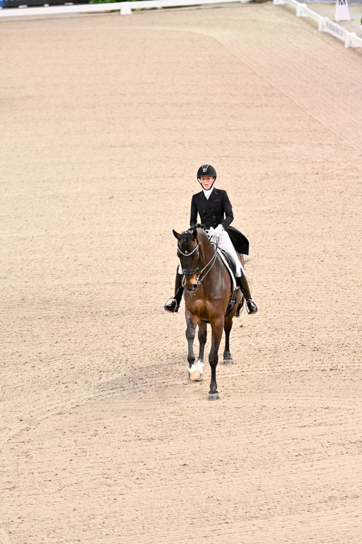  | Heering , Charlotte - Bufranco - KWPN_03 