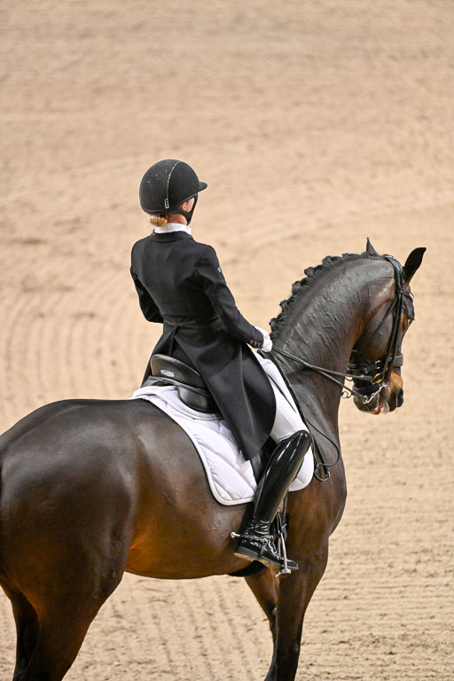  | Heering , Charlotte - Bufranco - KWPN_08 