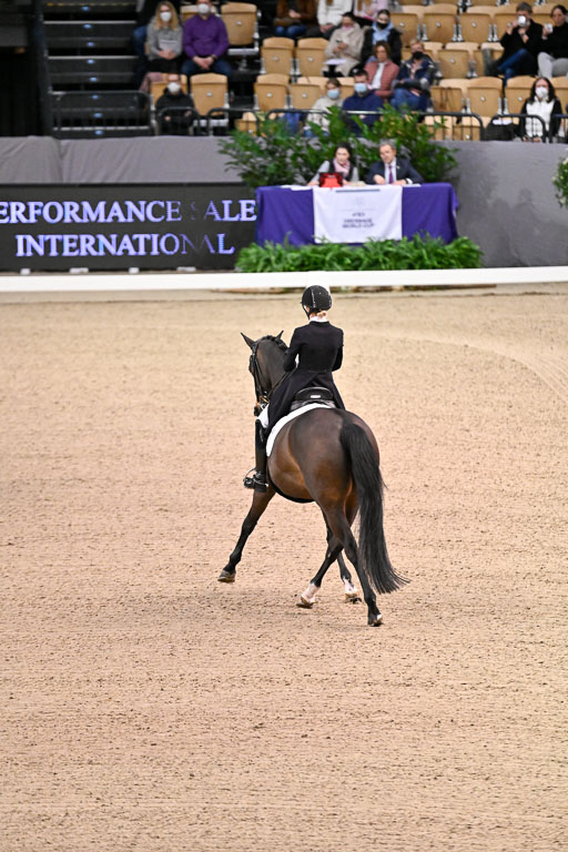  | Heering , Charlotte - Bufranco - KWPN_09 