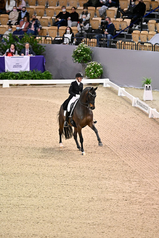  | Heering , Charlotte - Bufranco - KWPN_11 