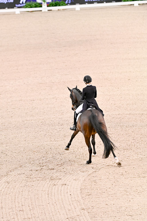  | Heering , Charlotte - Bufranco - KWPN_12 