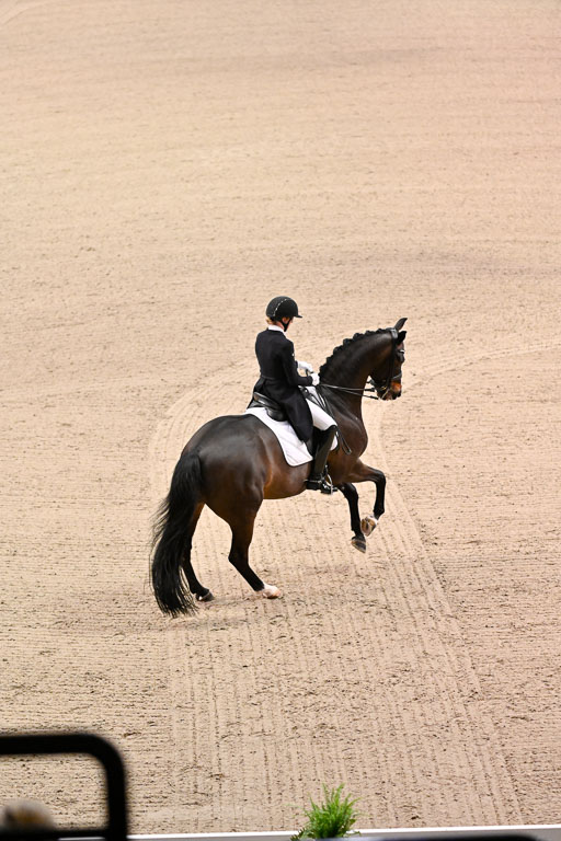  | Heering , Charlotte - Bufranco - KWPN_14 