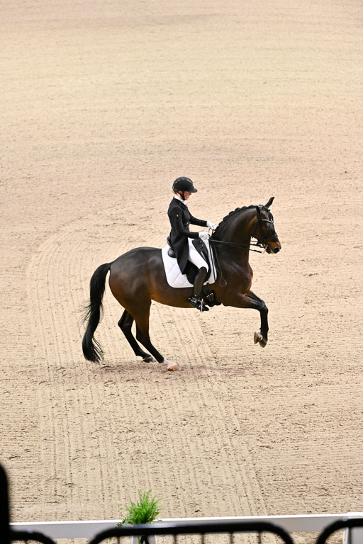  | Heering , Charlotte - Bufranco - KWPN_16 