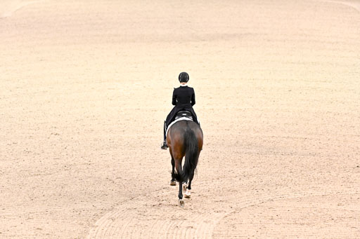  | Heering , Charlotte - Bufranco - KWPN_17 