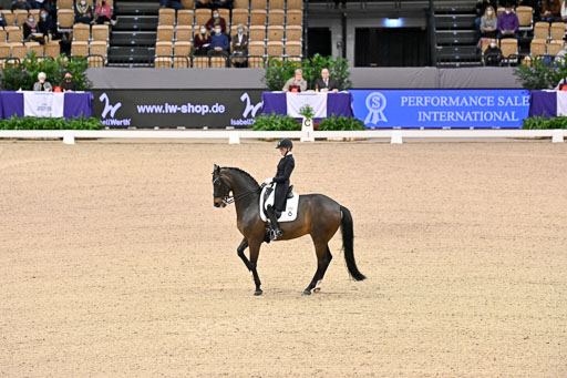  | Heering , Charlotte - Bufranco - KWPN_18 