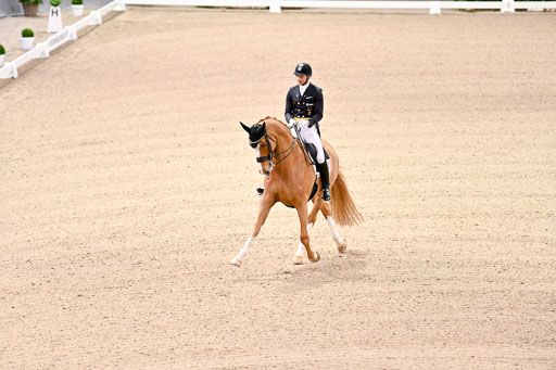  | Kittel, Patrik - Blue Horse Zepter - OLDBG_06 