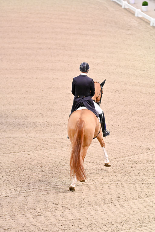  | Kittel, Patrik - Blue Horse Zepter - OLDBG_08 