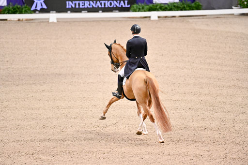  | Kittel, Patrik - Blue Horse Zepter - OLDBG_09 