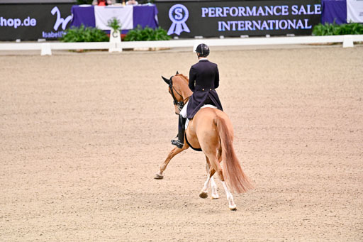  | Kittel, Patrik - Blue Horse Zepter - OLDBG_10 