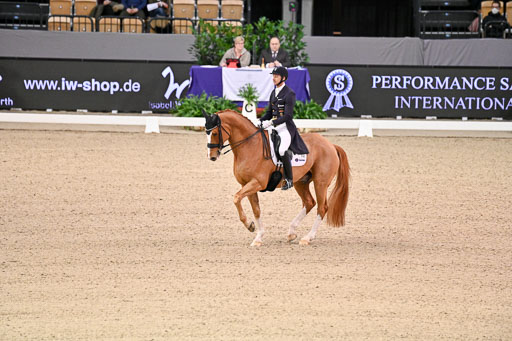  | Kittel, Patrik - Blue Horse Zepter - OLDBG_13 