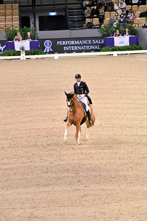  | Kittel, Patrik - Blue Horse Zepter - OLDBG_19 