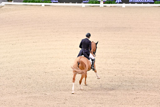  | Kittel, Patrik - Blue Horse Zepter - OLDBG_21 