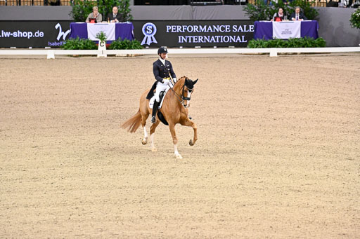  | Kittel, Patrik - Blue Horse Zepter - OLDBG_22 