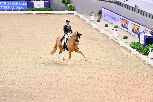  | Kittel, Patrik - Blue Horse Zepter - OLDBG_23 